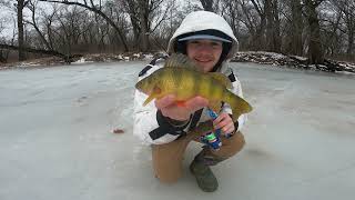 40 Ice Auger Mississippi River Backwater Ice Fishing [upl. by Ahseiat44]