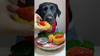 My dog enjoys the meal youtubeshorts shortvideo [upl. by Marco]