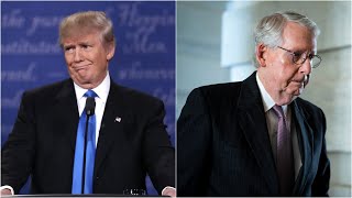 Everyone despises him Donald Trump unleashes on Mitch McConnell over midterms [upl. by Enitsirk]