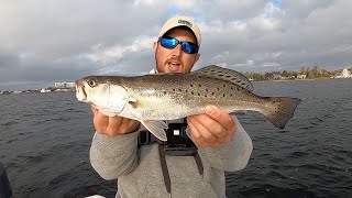 EASIEST CATCH AND COOK  Speckled Trout  DELICIOUS [upl. by Mcdowell782]