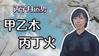 甲辰年丙子月甲乙木、丙丁火运势分享虽然寒，但是又蕴含希望的月份 [upl. by Sherard]