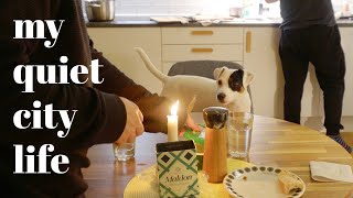 Oslo Norway Slow city life with a dog  Silent vlog  Thoughts on work  life balance [upl. by Clemen337]