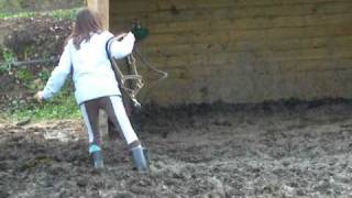 Camille dans le paddock en hiveer [upl. by Seiter]