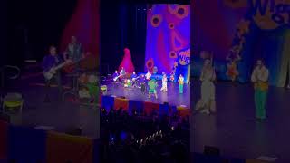 The Wiggles  Rattlin Bog Live In Sydney wiggles kids funny australia [upl. by Larisa967]