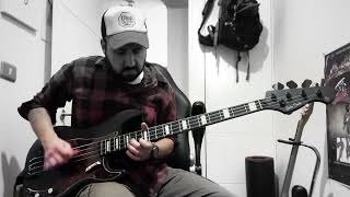 Arctic Monkeys  BRIANSTORM  bass cover [upl. by Huoh]