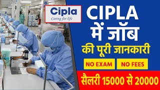 Cipla recruitment 2022  B Pharma Job Baddi Himachal Job  job vacancy 2022 [upl. by Daahsar]