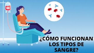 ¿Cómo funcionan los tipos de sangre [upl. by Anul]