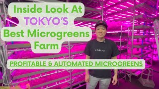 The FIRST Vertical Farm Using Soil In Japan [upl. by Suoicerp]