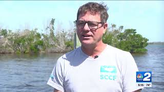 Runoff contributing to deterioration of water quality in Southwest Florida [upl. by Dilisio190]