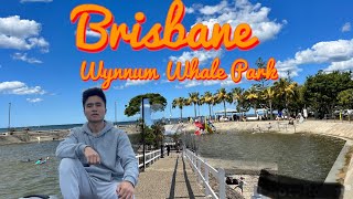 4K Brisbane ‘Wynnum Whale Park’QLD brisbane video [upl. by Brynn437]