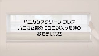 【おそうじ動画】ハニカムスクリーン ブレア ハニカム部分にゴミが入った時のおそうじ方法 [upl. by Llejk934]