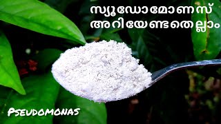 സ്യൂഡോമോണസ് ലായിനി ഉപയോഗവും ഗുണങ്ങളുംpseudomonas solution for plants [upl. by Weingartner]