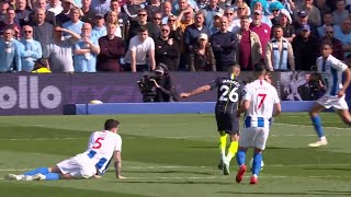 Throwback Riyad Mahrez World Class Perfomance amp goal V BRIGHTΟN PL1819 Game Week 38 [upl. by Juley370]