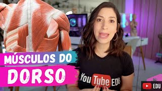 MÚSCULOS superficiais e médios do DORSO [upl. by Wolram]