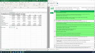 AAT Level 3 Spreadsheets  sample 1 part 1 [upl. by Yvi364]