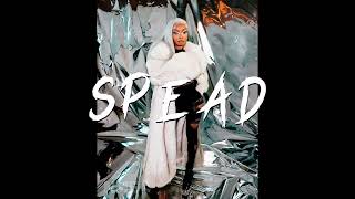 Lola Brooke Type Beat 2024  Latto x GloRilla Type Beat 2024  quotSPEADquot [upl. by Dlnaod]