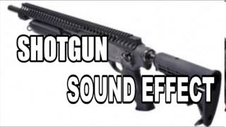 Shotgun Sound Effect DOWNLOAD LINK [upl. by Andres]