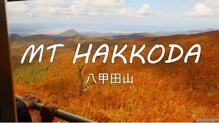 Amazing Autumn Colors at Mt Hakkoda  Hiking in Aomori Prefecture  Travel in Tohoku [upl. by Elyac414]