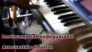 Los incomparables de guayabal Arrecuestale el Toston [upl. by Kimmi]