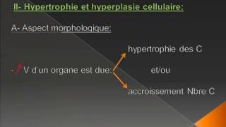 lésions élémentaires de la cellule anatomie pathologique [upl. by Llennaj]