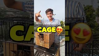 New Cage For Cats 💀😍  Mini Vlog shorts minivlog ashortaday vlog tranding cats [upl. by Ennelram973]