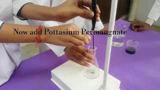 ChemistryPracticalTitration Mohrs saltKMnO4 Class 12Important Practical for CBSE [upl. by Heck]