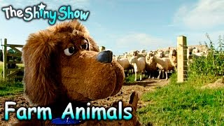 The Shiny Show  Farm Animals  S1E9 [upl. by Arsuy]