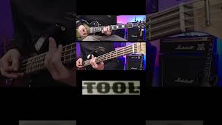 TOOL  Stinkfist  Guitar and Bass Cover 4 [upl. by Pittman]