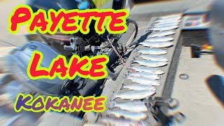 Kokanee fishing trolling on Payette Lake Idaho [upl. by Aned420]