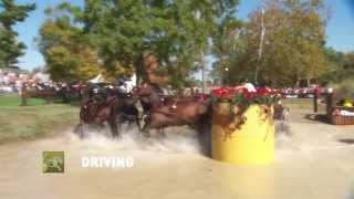 Alltech FEI WEG 2014  Promotional Clip Alltech FEI World Equestrian Games 2014 in Normandy [upl. by Primo]