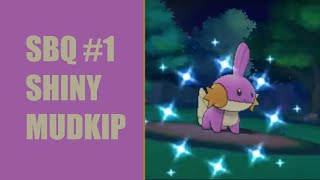 Shiny Mudkip after 1625 SRs SBQ1 [upl. by Sadnak1]