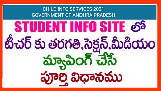 STUDENT INFO SITE UPDATES  PROCESS OF CLASS SECTION MEDIUM MAPPING TO TEACHER [upl. by Millisent]