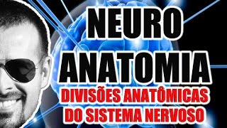 Neuroanatomia  Divisões anatômicas do Sistema Nervoso SNC SNP e SNA  VideoAula 068 [upl. by Laughlin905]