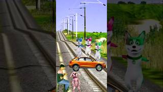 Three cute naughty Dogs danse on stylish car stop the breakdown traintrendingshortsfeed [upl. by Callean235]