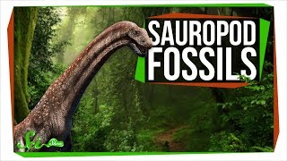 Two New Sauropods Generate Excitement and Controversy  SciShow News [upl. by Nerra892]