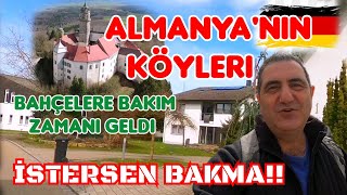 Baldern Köyü güneş açtı çiçekler açtı İlkbahar geldi Almanyada Kasaba ve Köy hayatı [upl. by Gollin]