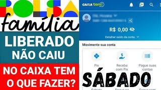 PAGAMENTO BOLSA FAMÍLIA HOJE SÁBADO NO CAIXA TEM LIBERADO [upl. by Ddot]