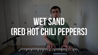 Piano Cover 77 Wet Sand Red Hot Chili Peppers [upl. by Suiramad]