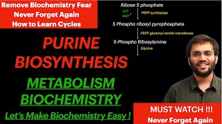 Purine Synthesis  Biochemistry  Purine Metabolism Video [upl. by Loria]