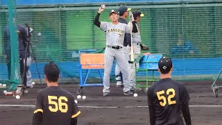 「お前だけわかっても駄目なんだよ」内野ノックで秀太コーチに扱かれまくる山田脩也と百崎蒼生【中日 vs 阪神】2024216 [upl. by Myra652]