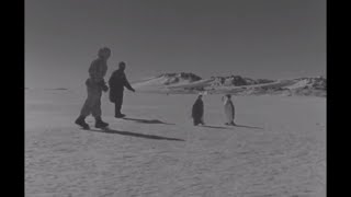 Paul Emile Victor lantarctique  Documentaire [upl. by Gristede]