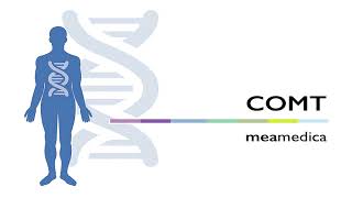 COMT Gen  Erklärung von Genvariationen und Wirkmechanismus Deutsch [upl. by Malet]