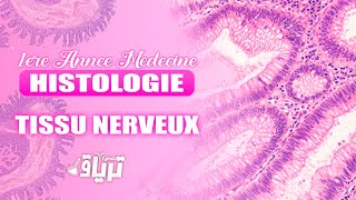 HISTOLOGIE 1ère année  TMC CAMP  TISSU NERVEUX  By Rania [upl. by Tserof920]