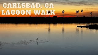 Carlsbad CA  Agua Hedionda Lagoon Walking Tour 4K [upl. by Eruot]