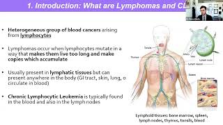 Understanding Diagnostic and Biomarker Testing  Lymphoma Research Foundation Webinars [upl. by Jeanne]