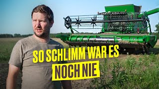 Horror Ernte 2023 NUR Verlust durch Dürre und Starkregen Farm Vlog I Hundert Hektar Heimat [upl. by Rafaelle510]