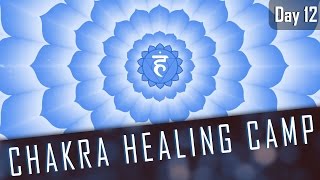 THROAT CHAKRA AFFIRMATIONS  14 Day Chakra Healing Camp Day12 [upl. by Bois]