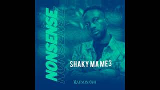 Raemix Gh  Nonsense Lyrics video [upl. by Yak]