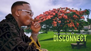 harmonize ft marioo disconnect official music video [upl. by Waneta]