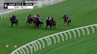 Flemington Jump Outs 20 Sep 2024 Jump Out 8 [upl. by Hanad]